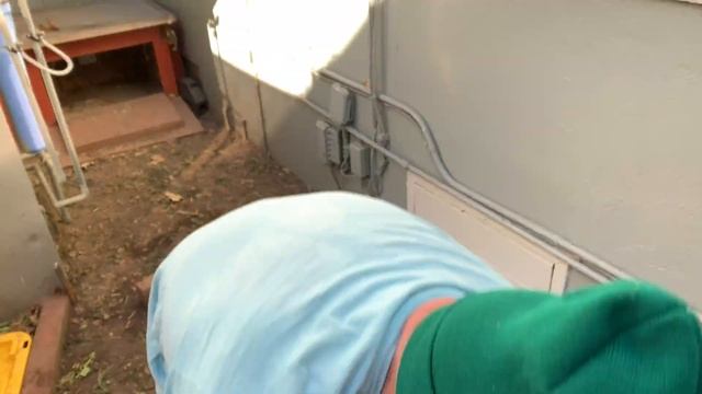 HOW TO BUILD A SAFE AREA FOR YOUR TORTOISE TO LAY EGGS - #thetortoiseguy #the tortoise guy смотреть онлайн