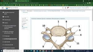 Вводное занятие для дистанционного обучение студентов 1 курса по анатомии человека.