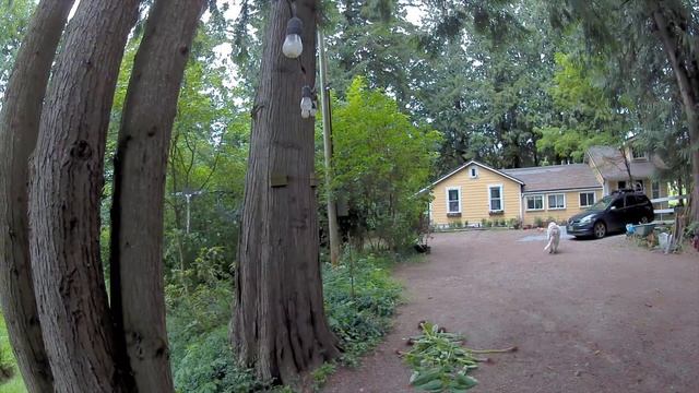 Arlo Pro 4 Spotlight Security Camera Bundle Review смотреть онлайн