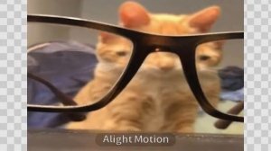 топ 3 самые смешные картинки