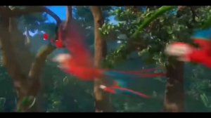 Рио (2011) - О Рио!