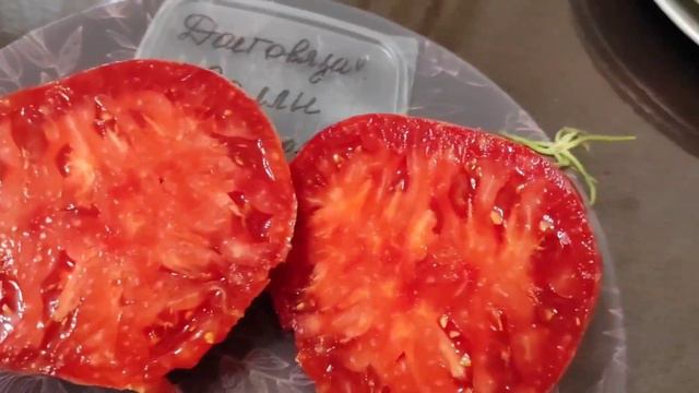 Коллекционные сорта томатов. Полиция 40, Долговязая Салли, Ворлон, Сибирский розовый тигр смотреть онлайн