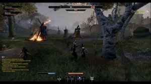 Nord Sorceress PvP -- Elder Scrolls Online (Beta Server)