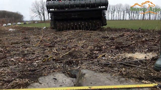 Демо-показ Demonio в Одесской области. смотреть онлайн