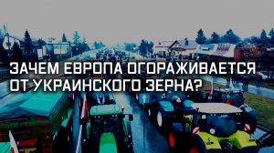 Зерно и плевелы. Специальный репортаж