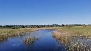 Аэролодка по болоту.