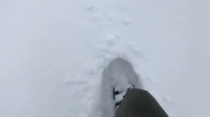 Обзор снегоступов Track Bigfoot 76