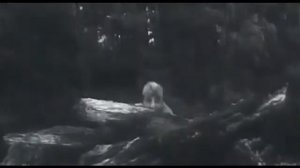 Откуда пошли вежливые зелёные человечки...