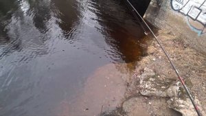 оз. Рощинское- оз. Ловецкое. протока. рыбалка 15.04.22.