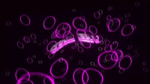 Футаж КОНЕЦ - THE END - заставки - интро - футажи для видео #285