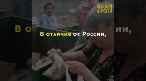 Ёшкин Крот   Опыт референдумов по пенсиям в разных странах