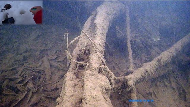 ЗАБУРИЛСЯ У КОРЯГИ, а ТАМ КУЧА РЫБЫ! Рыбалка на безмотылку! Ловля зимой 2022 смотреть онлайн