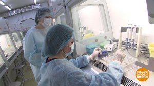 Коронавирус: откуда берутся новые штаммы? Доброе утро. Фрагмент выпуска от 08.12.2021