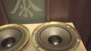 Technics 14PL304PA динамики