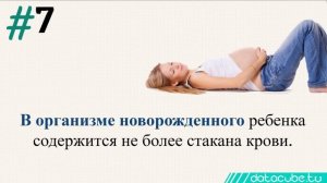 12 интересных фактов о крови: редкие группы и донорство