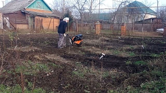 Культивация почвы Черешневый сад  Вишневый сад 28.11.21