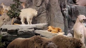 Day 2. The Canada — USA Trip. Cabela's Store, ID/2 День. Путешествие Канада — США. Cabela's, Айдахо