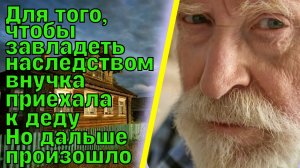 Внучка приехала к деду, чтобы завладеть его наследством. Лесник и не думал, что на склоне лет судьба