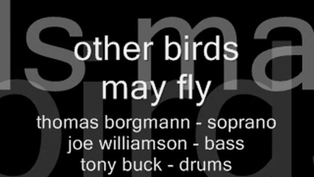 thomas borgmann ~ tony buck ~ joe williamson: other birds may fly смотреть онлайн