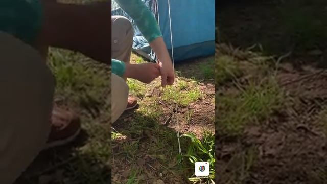 Шатер BASE ARPENAZ Quechua дуговой, шестиместный, для кемпинга подробный обзор. смотреть онлайн