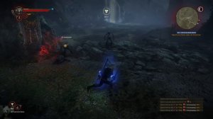 The Witcher 2: Assassins of Kings #28 - Heißer Badespaß (Let's Play German Deutsch 1440p)