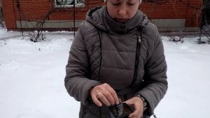 Стратификация семян многолетних цветов