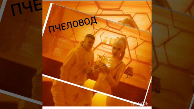 Ты пчела я пчеловод текст. Музыка я пчеловод слушать. Cover пчеловод. Пчеловод обложка. Пчеловод песня.