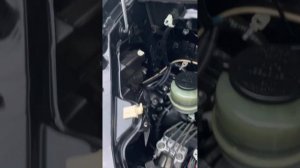 Номер кузова под капотом Toyota Alphard