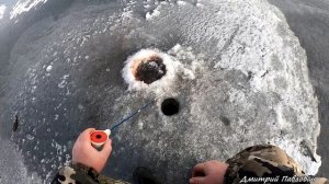 ЛЁД ТРЕЩАЛ ПОД НОГАМИ, НО Я НЕ СДАЛСЯ. Ловля РОТАНА на мясо. Рыбалка на ротана.