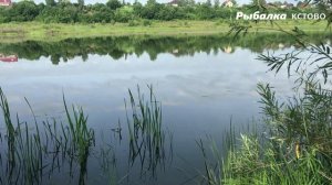 ЛЕЩ ПОДОШЁЛ СПУСТЯ...Рыбалка на озере около дома
