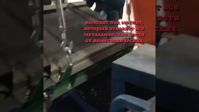 Как белки на открытие новосибирского завода по переработке батареек ходили смотреть онлайн