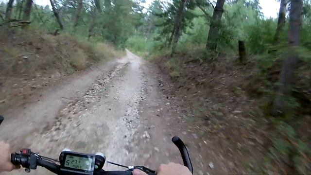 Скоростная езда по лесу на электровелосипеде!!!! смотреть онлайн