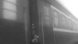 Рыбная промышленность