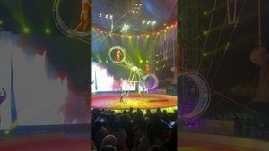 Колесо смерти #цирк