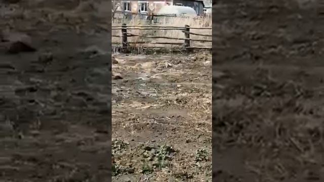 Пожар в Пашково 23 апреля 2020 смотреть онлайн