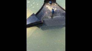 Скиммер для пруда SwimSkim 50 Oase //Плавающий скиммер OASE// PrudExpert// Скиммер для пруда