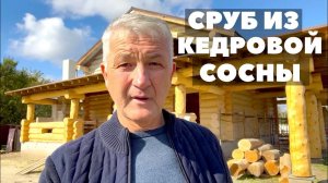 СРУБ ИЗ БРЕВНА КЕДРА