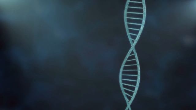 Я заразил 12 тысяч людей смотреть онлайн