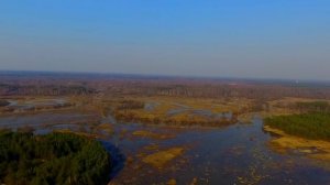 Владимирская область, деревня Ветчи