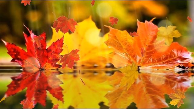 Сентябрёнок смотреть онлайн