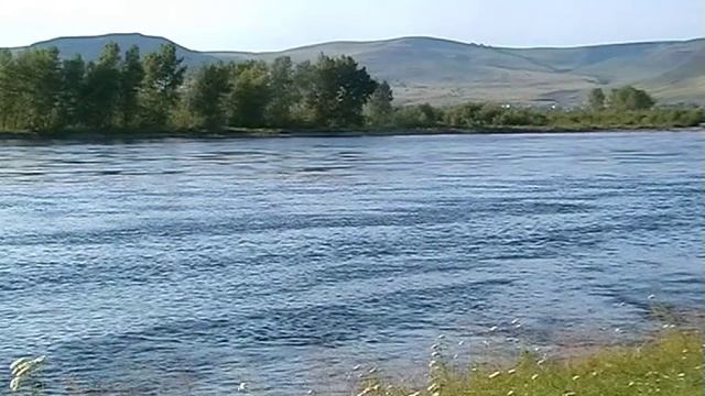 Я верю в разум - Александр Холкин (аранжировка - Сергей Горбачевский)