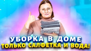 БЕЗ ГРАММА ХИМИИ отмыла окна, стекла, зеркала, унитаз! Чудо-салфетки от пыли в доме.