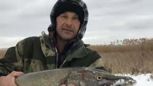 Зимняя рыбалка Темрюк (Чабаки)