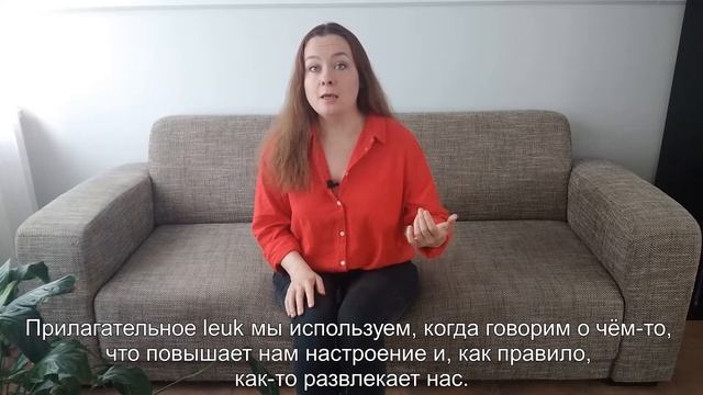 Lekker leuk gezellig! Как правильно использовать эти прилагательные.