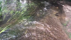 Ловля на летнюю мормышку на малой реке. Ловля на боковой кивок. Рыба бастует...