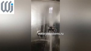 Моющая головка WJ DG5 3D