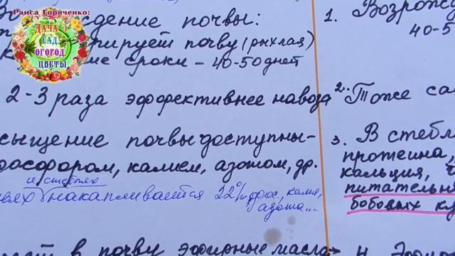 Как быстро организовать обманный севооборот для картофеля? Как снять усталость у почвы от картошки?