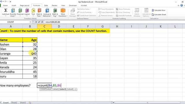 Count Formula in Excel | Sinhala Tutorial