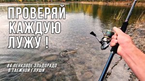 ОТКУДА ЗДЕСЬ ВСЯ ЭТА РЫБА? МЕЛКАЯ ЛУЖА ЗАБИТА ЛЕНКОМ! Убойная рыбалка на спиннинг в дикой тайге