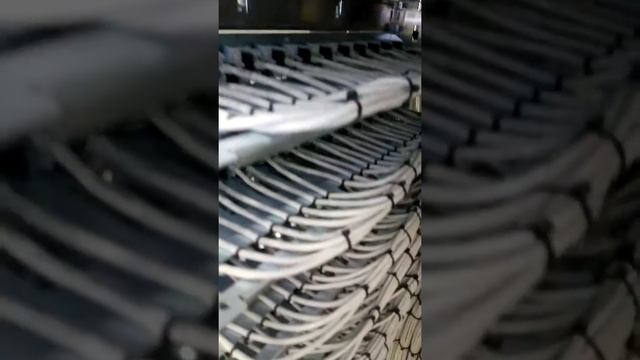 СКС, локальная сеть, cable cat 5e, сервер №4 смотреть онлайн